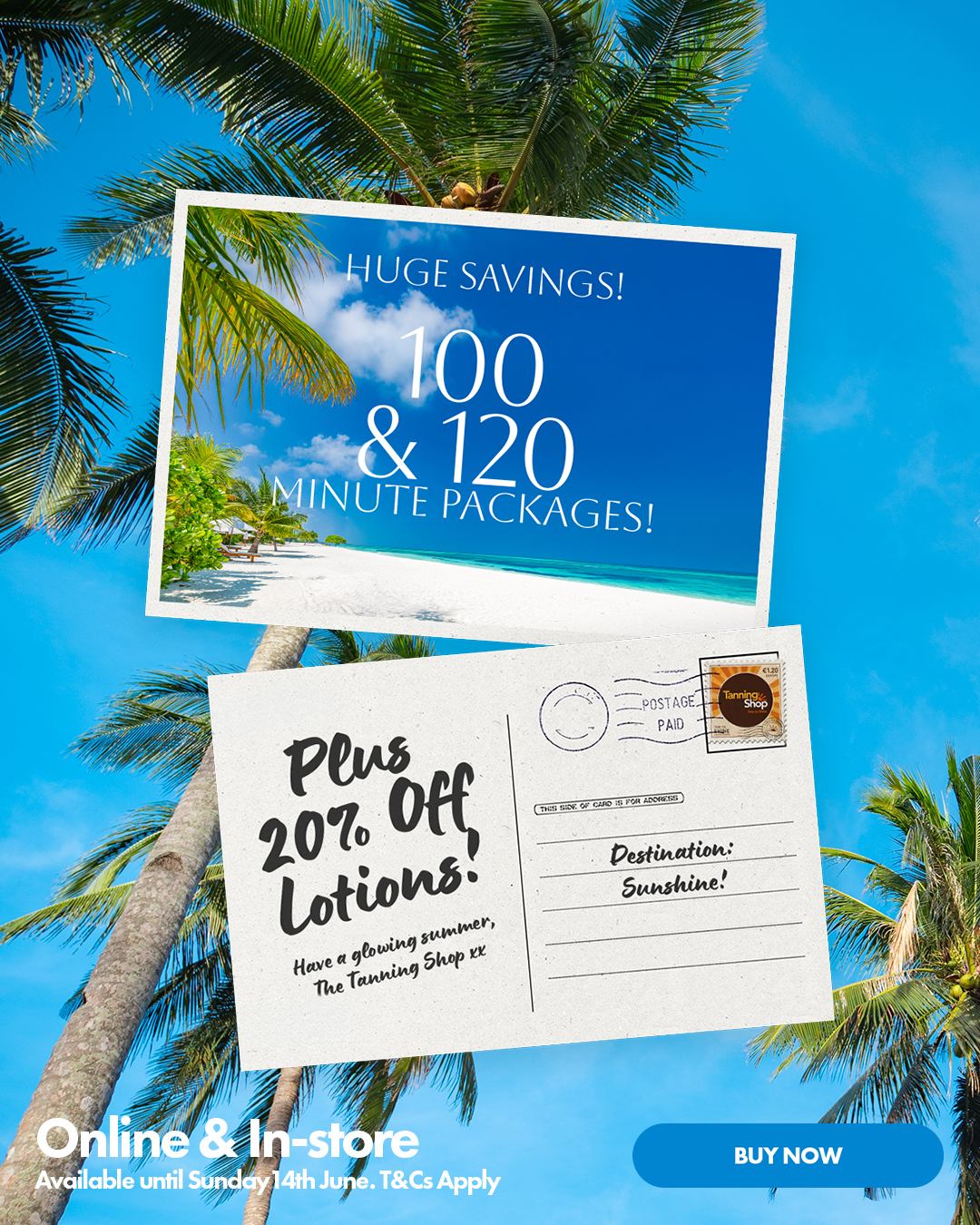 20% Off Packages June Mobile